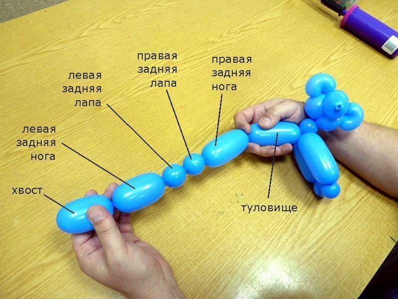 Животные из шарика колбаски схема для начинающих