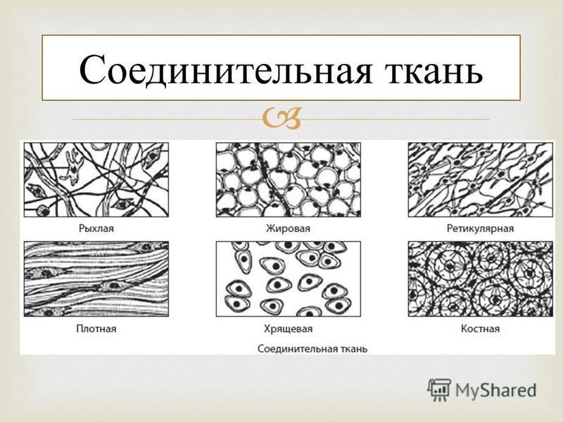 Какое определение подходит для характеристики сложный вид рисунка