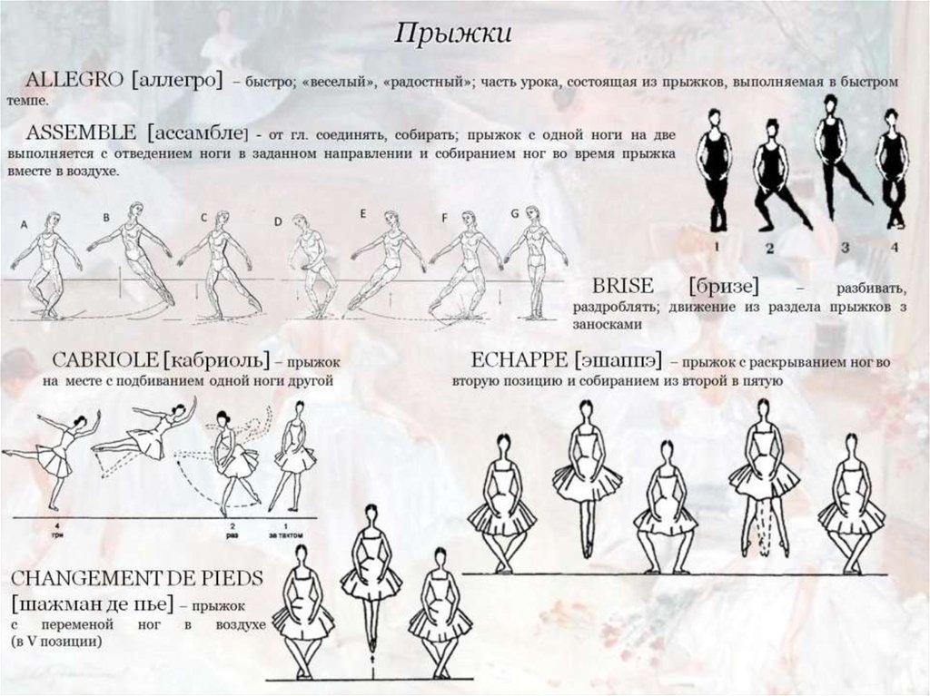 Движения в классическом танце названия с картинками