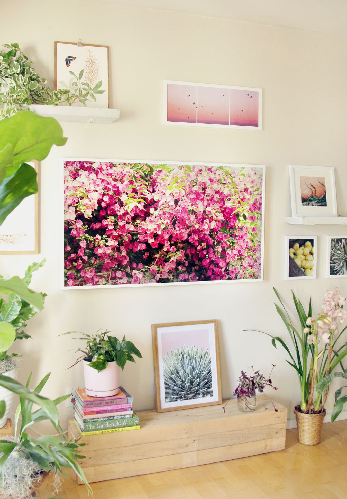 Check out our gorgeous indoor garden with 18 best indoor plants! Plus 5 essential tips on how to grow healthy house plants! Make your home more beautiful with these showy foliage and flowering plants that thrive in low light conditions, and are so easy to grow! - A Piece of Rainbow