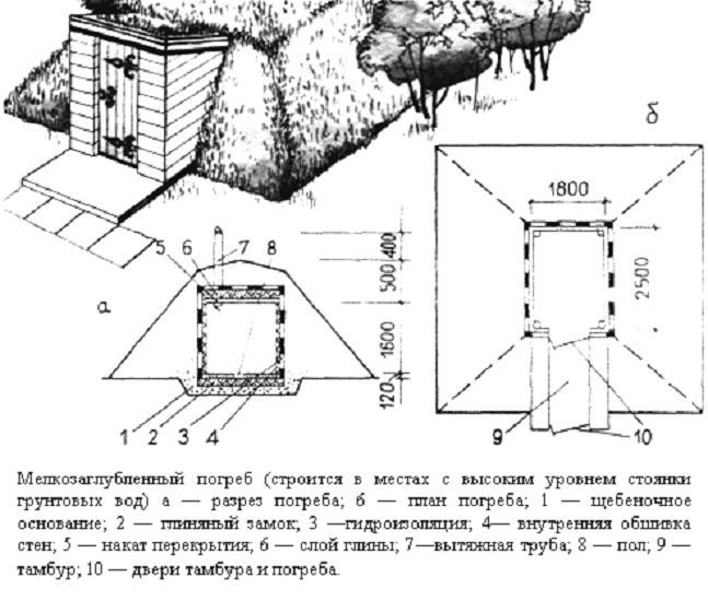 Полузаглубленный погреб своими руками пошаговая инструкция с фото