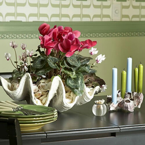Clamshell Centerpiece
