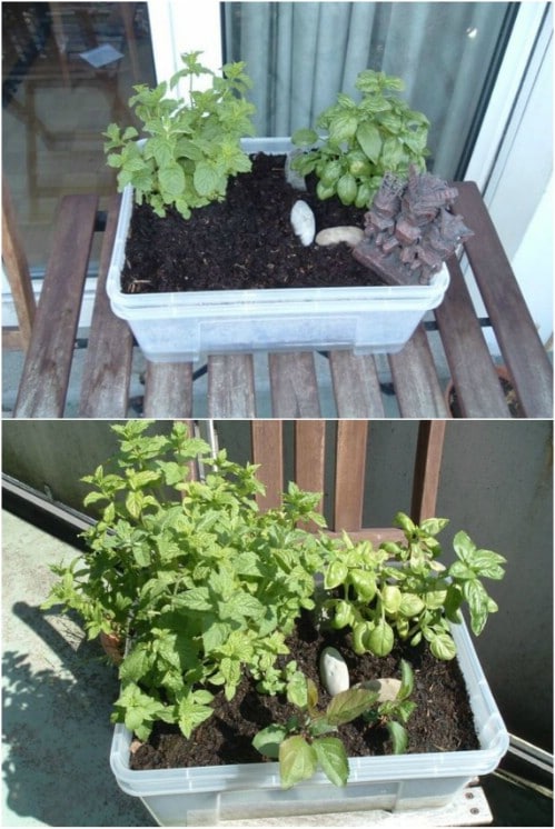 Repurposed Storage Box Self Watering Planter