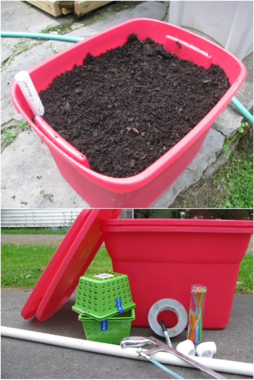 DIY Self Watering Cage Planter