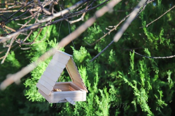 You can make a DIY bird feeder out of craft sticks.