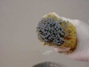 photo demonstrating how to hold a sponge to apply a stone faux finish