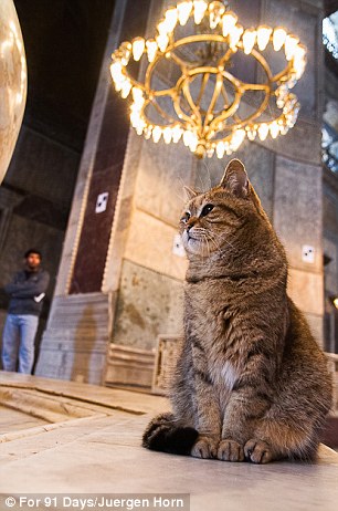 Another strikes a thoughtful pose in Hagia Sophia Basilica