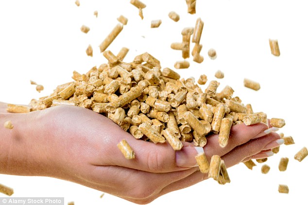 Some biomass boilers are eligible for free government money of around £1245-£1,880 a year