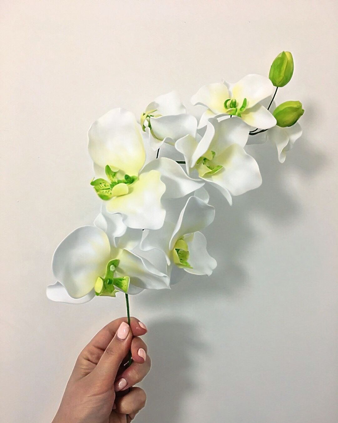 Мастер класс орхидея из фоамирана с пошаговым фото для начинающих