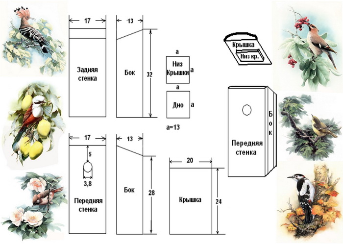 Как построить скворечник своими руками размеры чертежи фото
