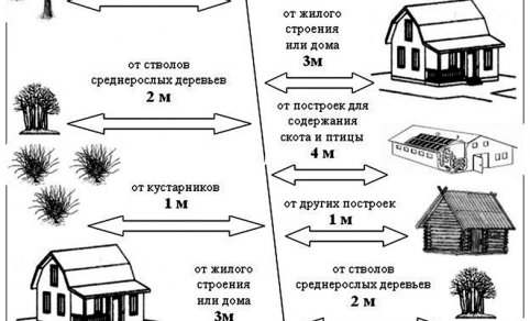 В деревне