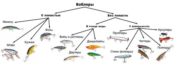 Виды рыболовных снастей их названия и фото