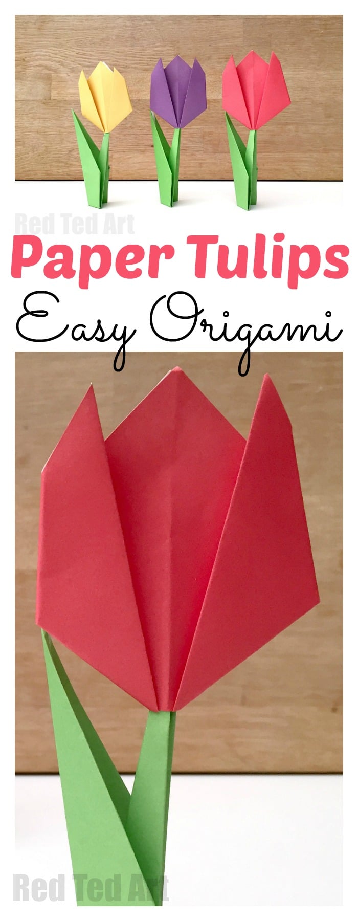 Easy Tulip Origami. Teach the kids Origami with this Paper Tulip Origami for Beginners. Easy Beginners Origami #tulip #paperflowers #origami #kidsorigami