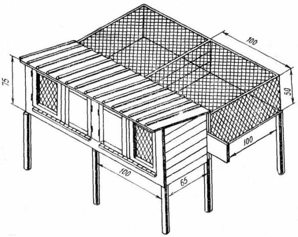 Клетка для кролика своими руками схема и чертежи