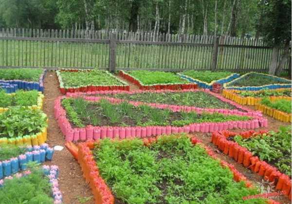 Огород на даче своими руками для начинающих фото пошагово