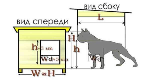 Схема собачьей будки