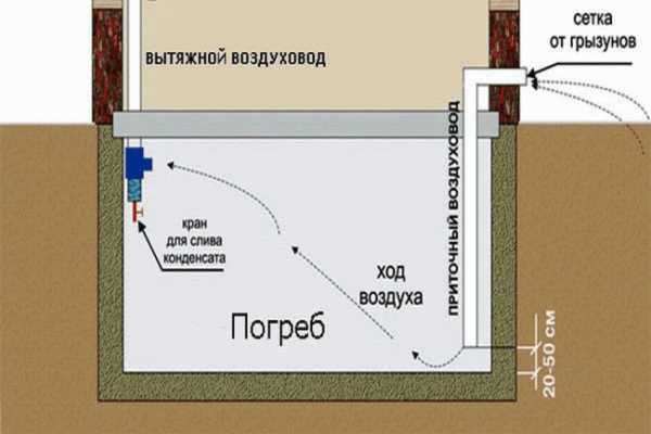 Сарай с погребом проект