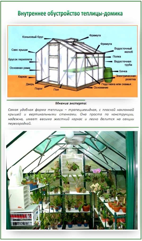 Планировка теплицы внутри фото